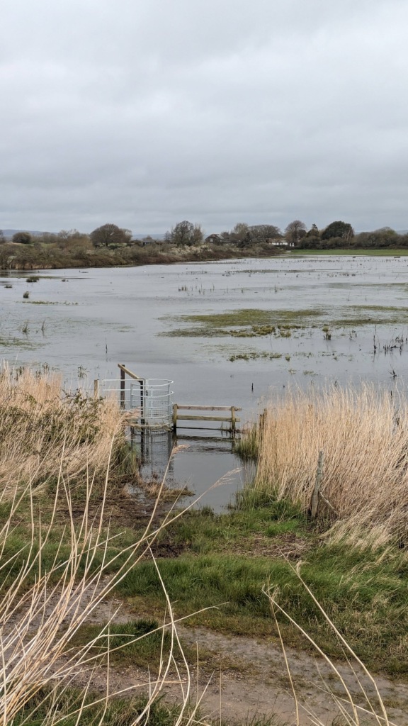 A flooded public footpath in Pagham Harbour