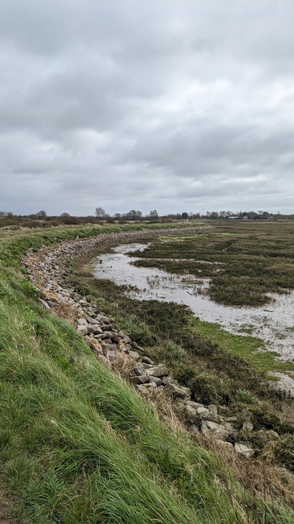 Looking eastwards from the North Wall path over Pagham Harbour